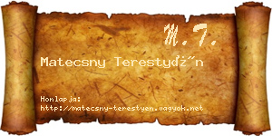 Matecsny Terestyén névjegykártya